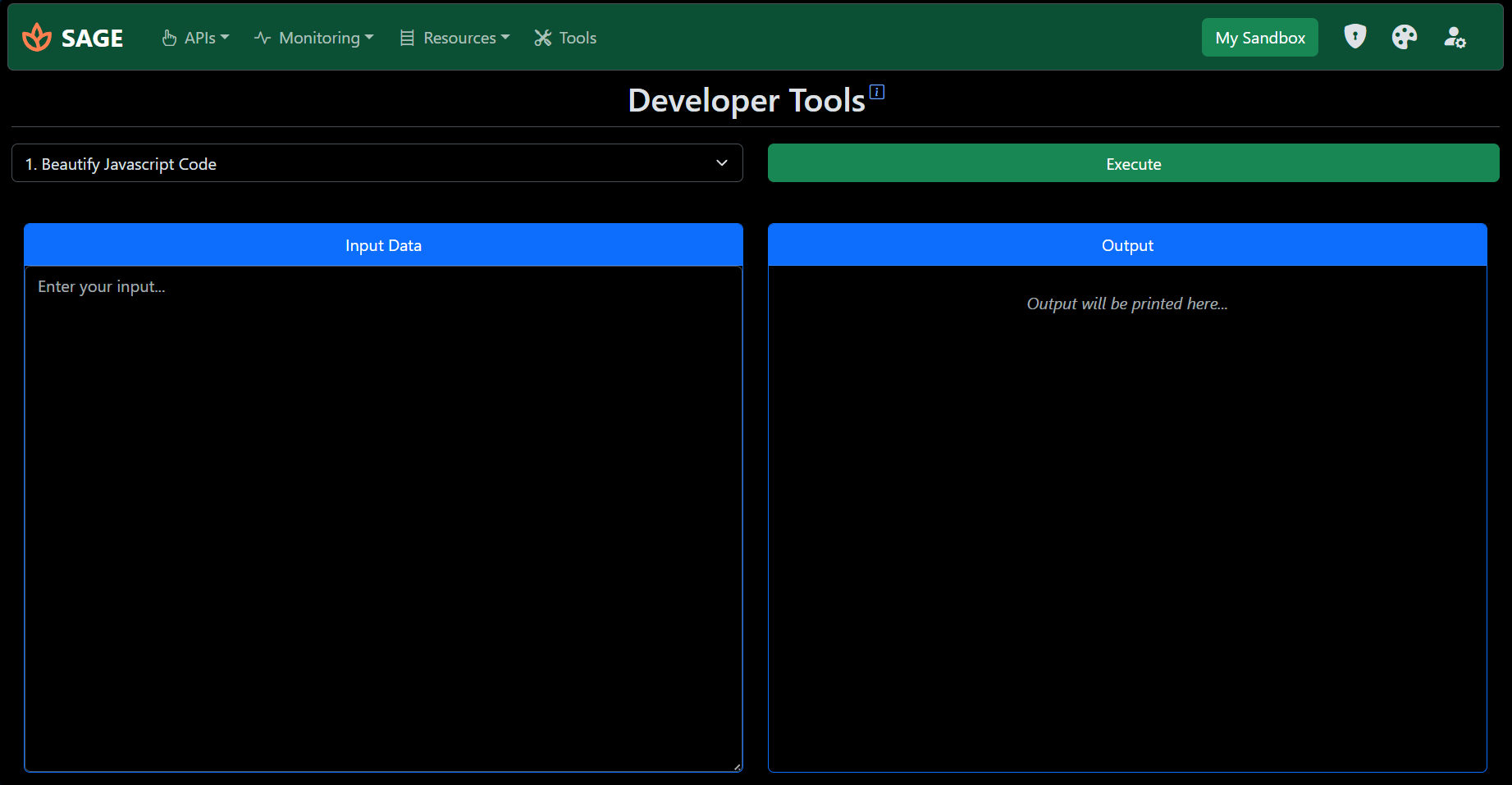 Developer Tools Interface